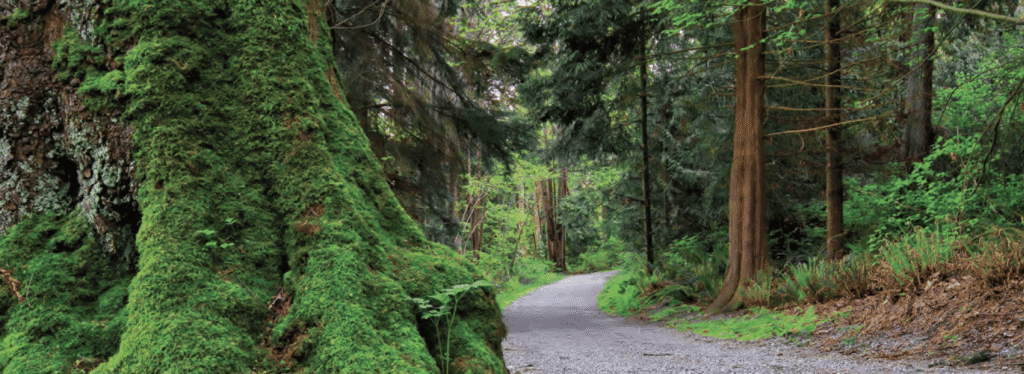 A Pathway To Hope